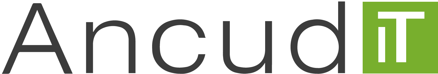 The Ancud IT logo