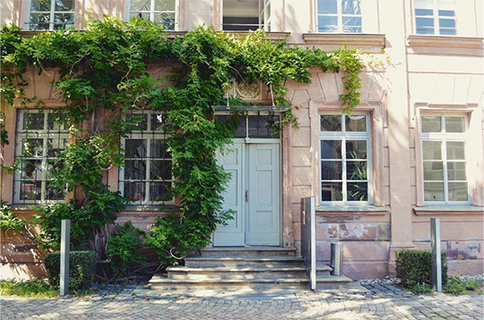 Bild vom Ancud Gebäude